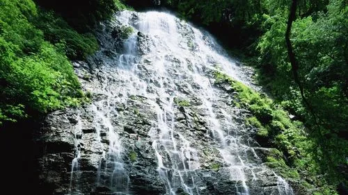 高效高效稳定性